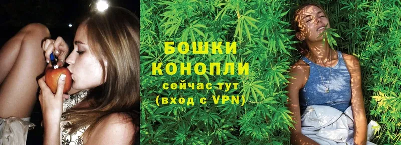 Канабис OG Kush  MEGA ТОР  Соликамск 